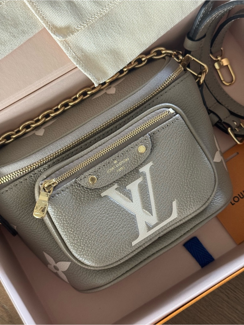 Louis Vuitton Two Tone mini bumbag - Picture 2 of 5